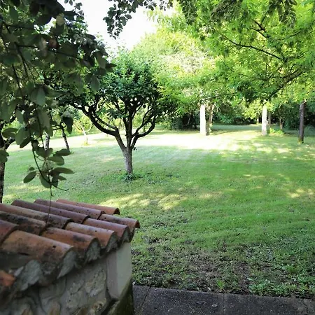 Le Bonheur - Pineau *